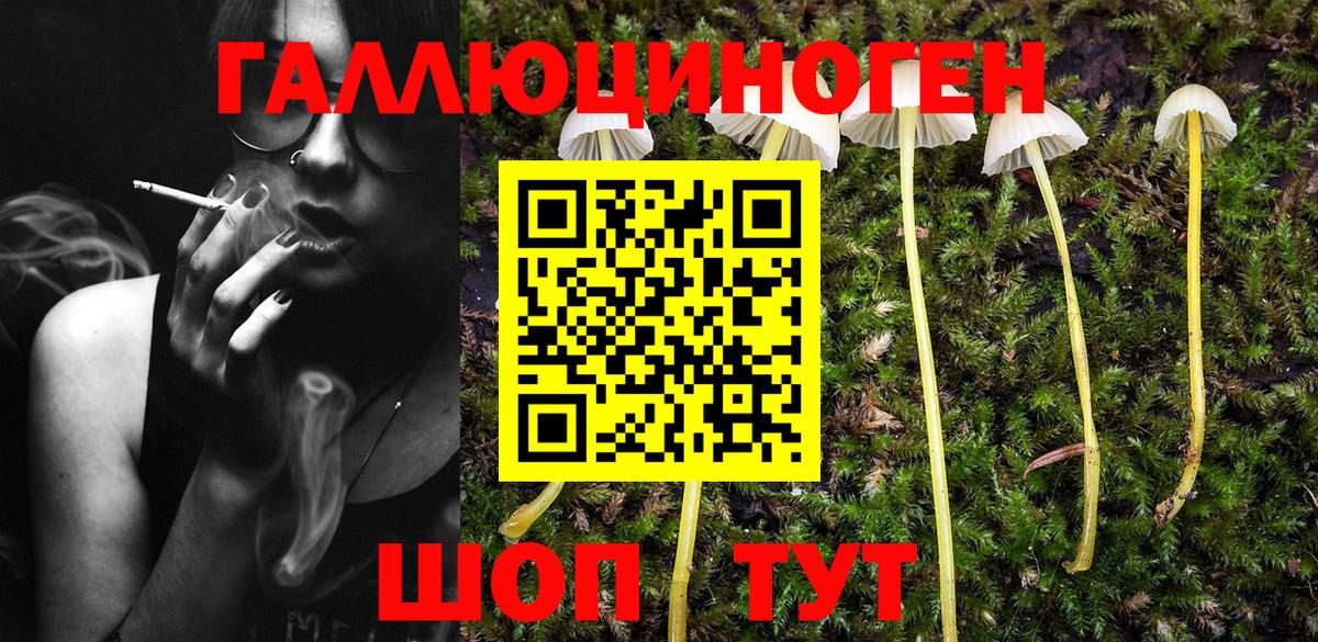 Кропоткин  Псилоцибиновые грибы MAGIC MUSHROOMS  Вход с VPN 